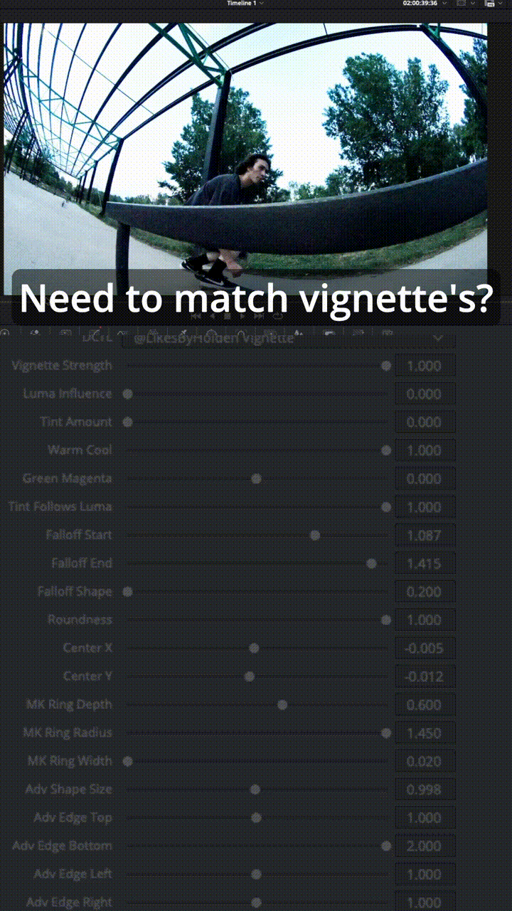 Industry Standard Vignette demo